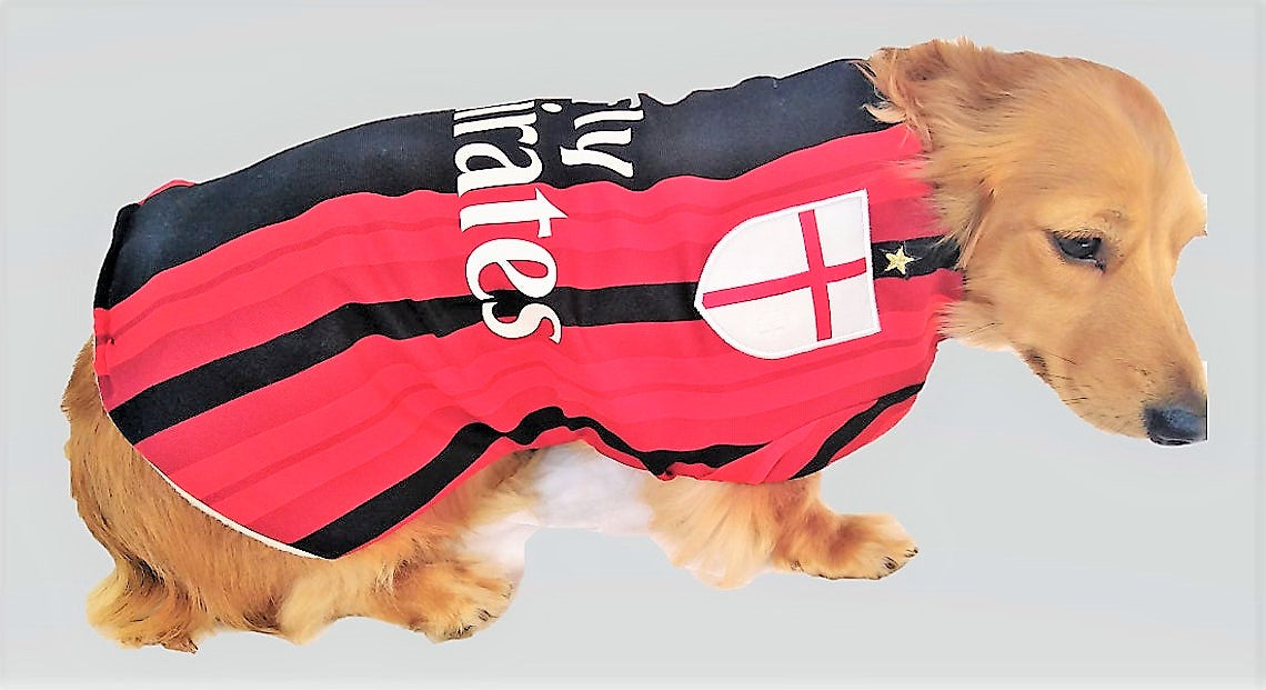 Football shirts sales for dogs