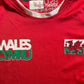 Wales Rugby Fan Shirt (very good) Age 7 to 8 years. Height 16.5 inches