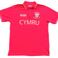 2005 Wales Rugby Shirt (excellent) Adults Medium.